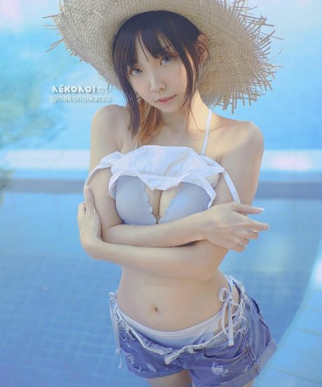Nekonoi Katsu photo 9