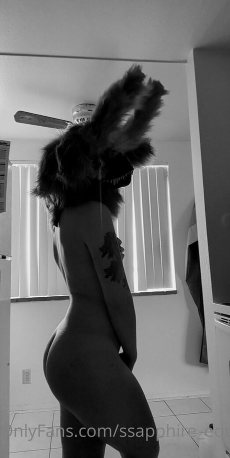 Nephthys.rex photo 42