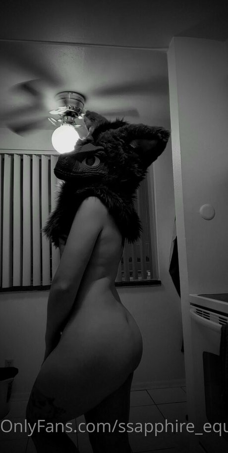 Nephthys.rex photo 43