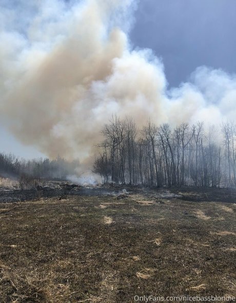 Nicebassblondie photo 24