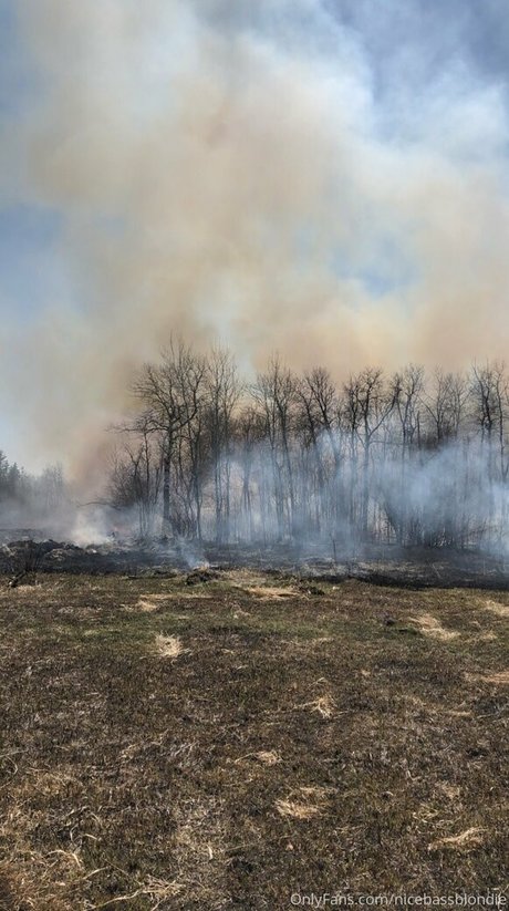 Nicebassblondie photo 25