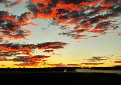 Nicebassblondie photo 54