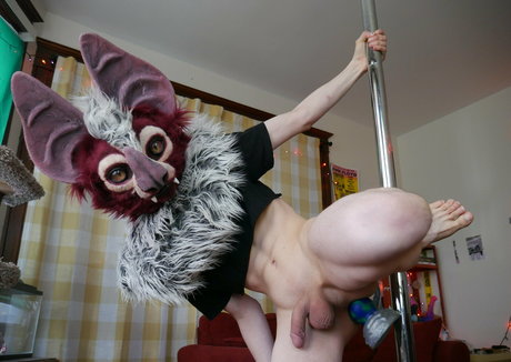 Noodlybat photo 52