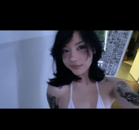 Notdatsrs photo 12