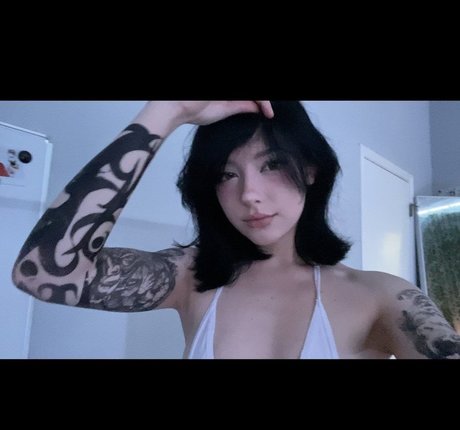 Notdatsrs photo 14