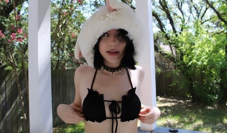 Notdatsrs photo 109