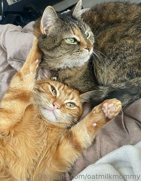 Oatmilkmommy photo 234
