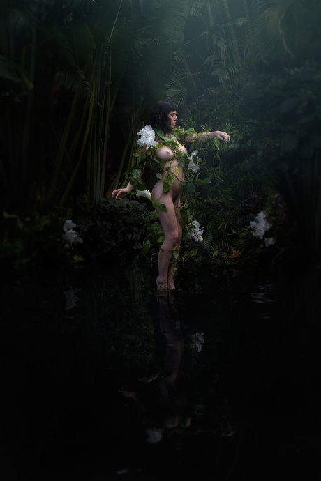 Olive Glass photo 46