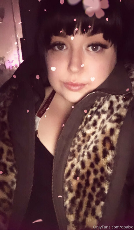 Opalxo photo 2