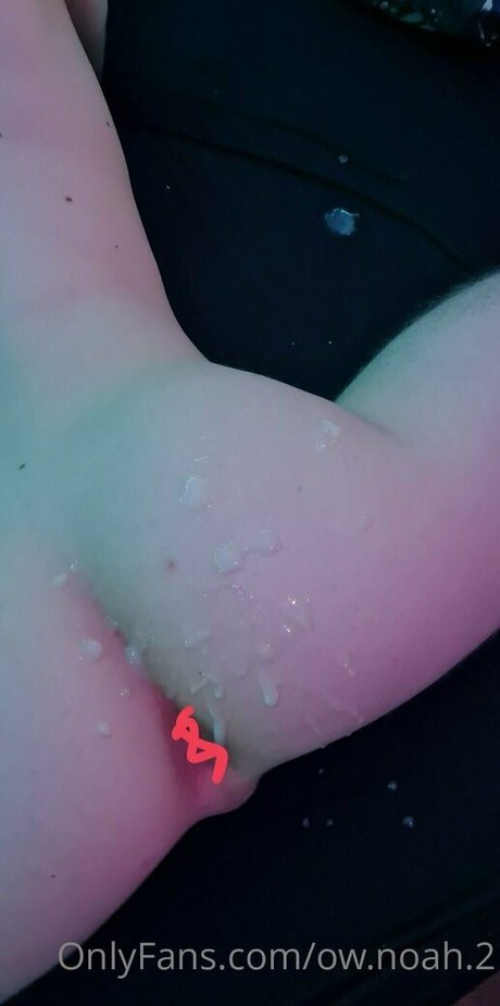 Ow.noah.2 photo 13