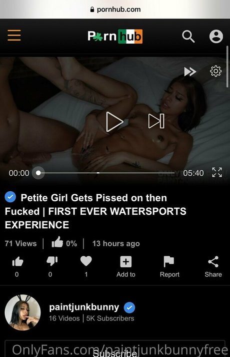 Paintjunkbunnyfree photo 6