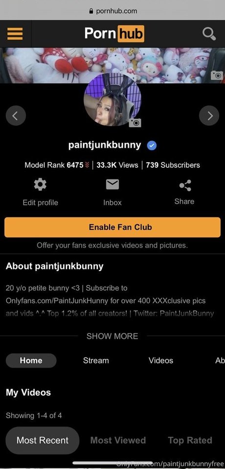 Paintjunkbunnyfree photo 20