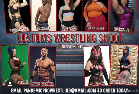 Pandemicprowrestling photo 61