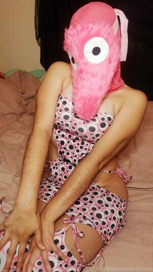 PDoctress photo 76