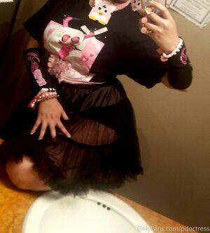 PDoctress photo 173
