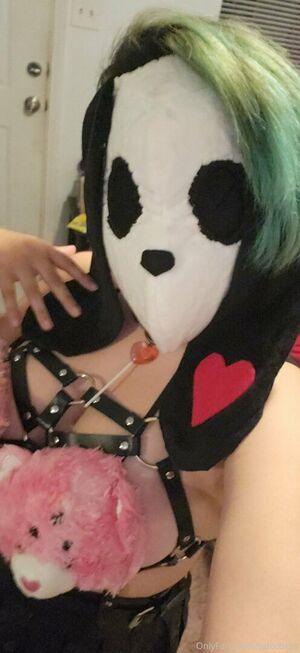 PDoctress photo 255