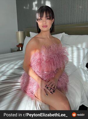 Peyton Elizabeth Lee photo 1