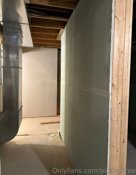 Picklesfree photo 42