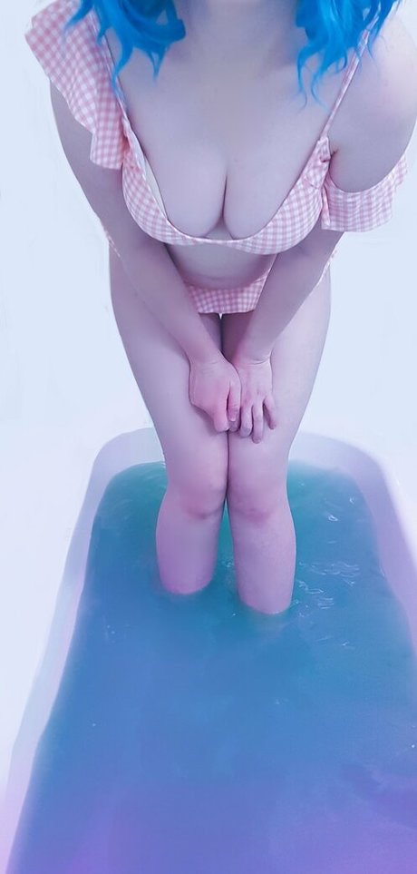 Pinipy photo 19