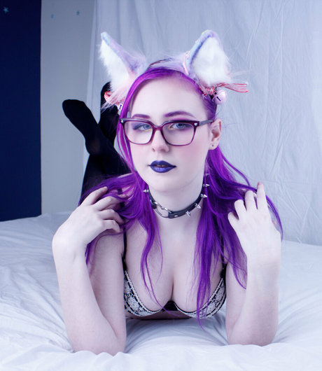Pinipy photo 49