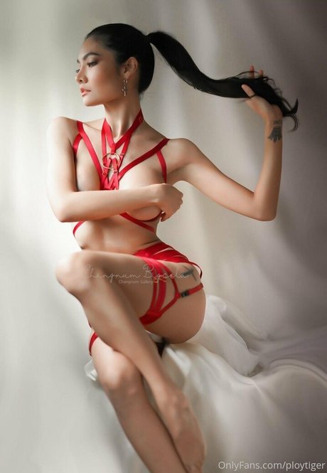 Ploytiger photo 241
