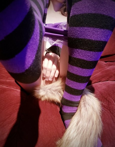 Plushopossum photo 32