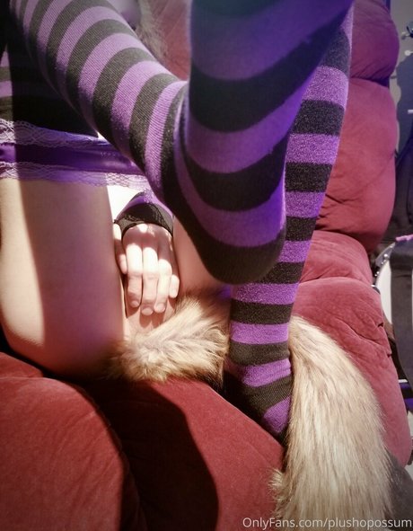 Plushopossum photo 33