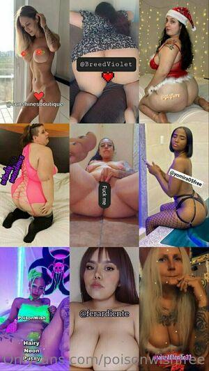 poisonwishfree photo 18