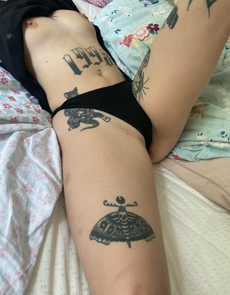 Pollyyvla photo 10