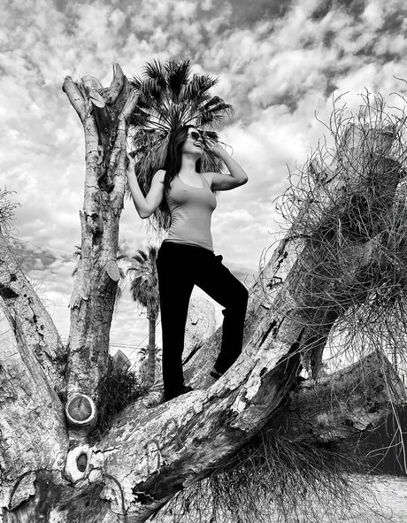 Portiaa photo 24