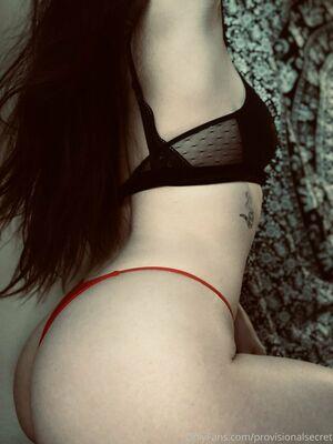 provisionalsecret photo 15