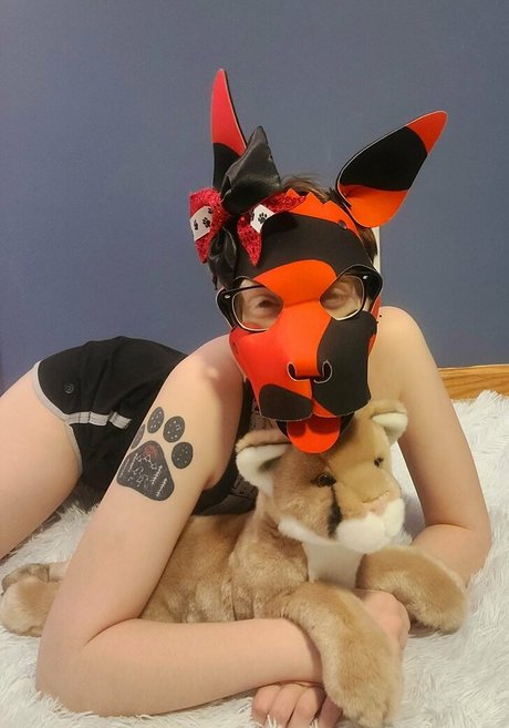 Pupno photo 8