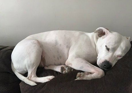 Queenbracee photo 72