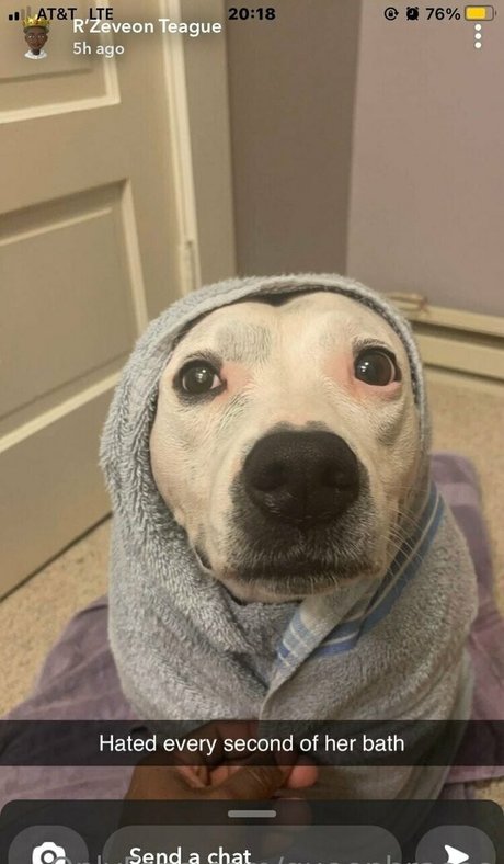 Queenbracee photo 73