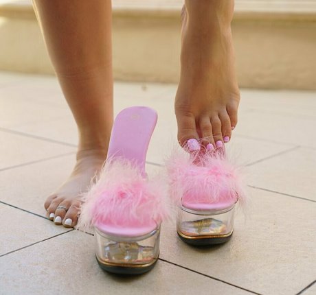 Quinnyspiggies photo 393