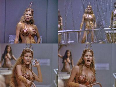Raquel Welch photo 16