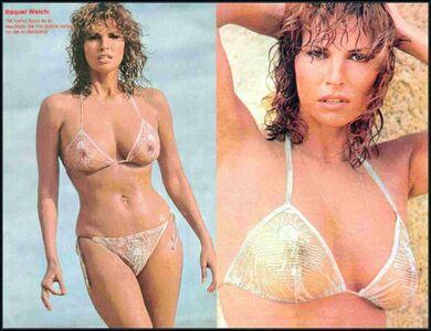 Raquel Welch photo 18
