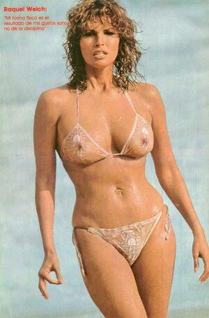 Raquel Welch photo 19