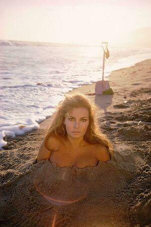 Raquel Welch photo 21