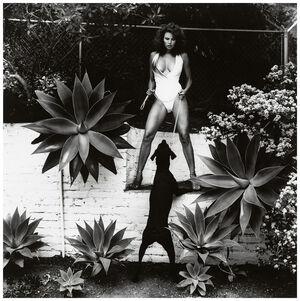Raquel Welch photo 31