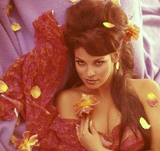 Raquel Welch photo 96