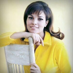 Raquel Welch photo 99