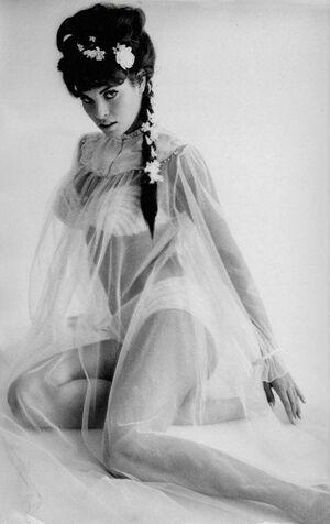 Raquel Welch photo 116