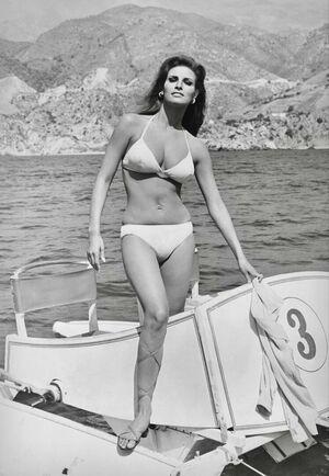 Raquel Welch photo 127
