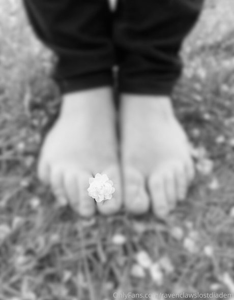 Ravenclawslostdiadem photo 19