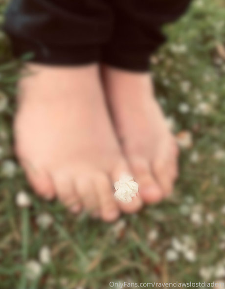 Ravenclawslostdiadem photo 20