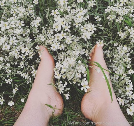 Ravenclawslostdiadem photo 25