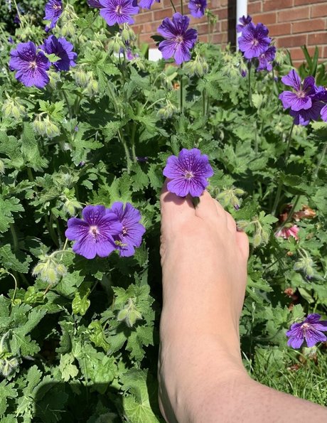 Ravenclawslostdiadem photo 28