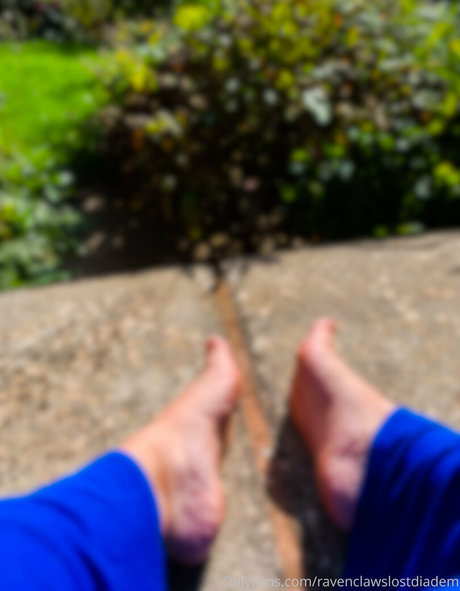 Ravenclawslostdiadem photo 36