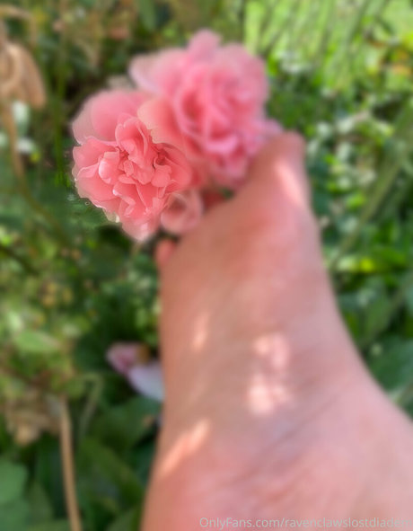 Ravenclawslostdiadem photo 44